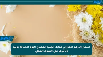 أسعار الدرهم الإماراتي مقابل الجنيه المصري اليوم الأحد 20 يوليو وتأثيرها على السوق المحلي